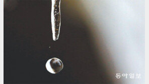 [Feeling]봄의 느낌표!