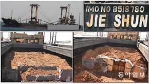 ‘지선호’에 실린 북한산 로켓수류탄 3만 발의 주인은? 