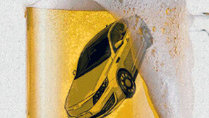 음주사고 20대 경찰관, 운전자 바꿔치기까지 시도하다 적발