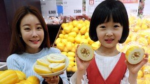 “성주 햇참외 나왔어요”