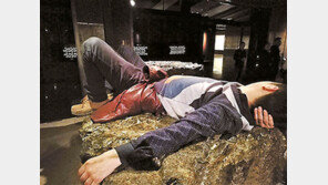 박물관 고대유물위에서 낮잠 잔 中남성