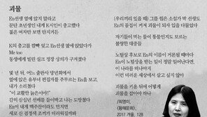 최영미 시인 “고은 시인 폭로 글 ‘사실’…공식기구 출범 시 상세히 밝힐 것”