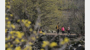 내일(6일) ‘경칩’, 이제 봄 시작…‘개구리알’ 먹는 이유는?