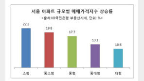 “작은 주택이 맵다”… 가성비 좋은 소형 아파트 인기