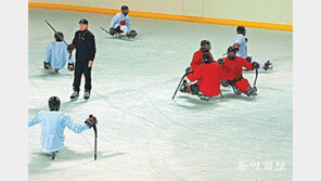 장애인 아이스하키팀 연습 구슬땀