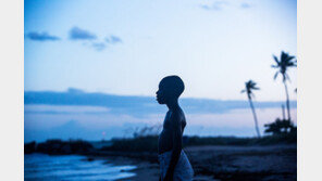 [이 영화] 한 흑인 소년의 성장기…차별 속 정체성을 찾다