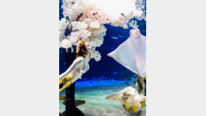 아쿠아리움 수조에 핀 화사한 봄꽃