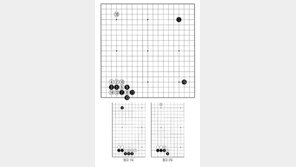 [바둑]알파고 vs 알파고 특선… 제로20 vs 제로20