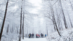 “연인과 함께 올겨울 마지막 눈길 거닐래요?”