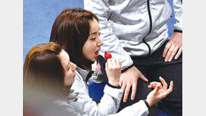 日 컬링팀이 반한 딸기, 한국산 품종 맞네