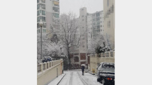 대구에 눈 ‘펑펑’, 주민들 “겨울에도 안 오던 눈이 3월에…실화냐?”