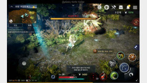 착한 게임인데 돈도 잘 번다. 호평 받는 검은사막 모바일의 과금정책