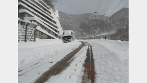눈 때문에 대학이 휴교?…‘해발 900m’ 강원대 도계 캠퍼스 50cm 폭설에 휴교