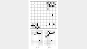 [바둑]알파고 vs 알파고 특선보… 아직은 팽팽하다