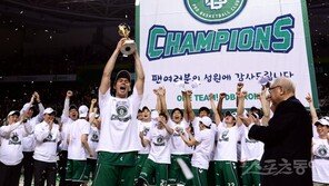 이상범-버튼, 역대 최고의 파란 DB의 우승원동력