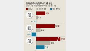 인기몰이 베트남 펀드… 지금 들어가도 될까 