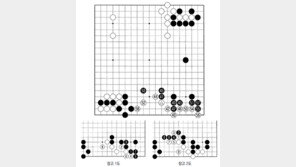 [바둑]알파고 vs 알파고 특선보… 거추장스러운 꼬리