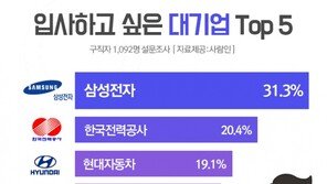 삼성전자, ‘입사하고 싶은 대기업’  2년연속 1위