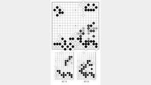 [바둑]알파고 vs 알파고 특선보… 폭파범과 형사