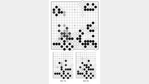 [바둑]알파고 vs 알파고 특선보… 수습 완료