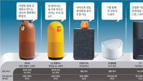 [인공지능 in IT] 음성인식 스피커와 패스를 주고 받을 수 있을까