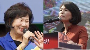 손혜원 “전희경 ‘주례’ 질문, 역대급 가짜뉴스…도종환에 사과해야”