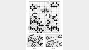 [바둑]알파고 vs 알파고 특선보… 일석삼조의 수