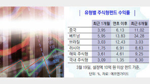 [Money&Life]잘나가는 신흥국 펀드…“2∼3개 국가에 분산투자를”