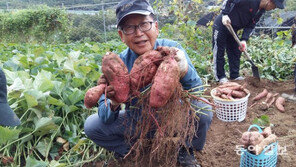 [퇴근길 라이프] ‘도시농부’ 5년차…“텃밭 가꾸니 삶에 활력”