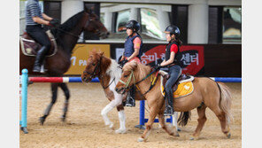 마사회 말산업연구소, 승마교육 방법론 개발