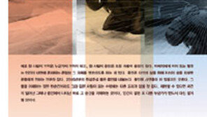 [책의 향기]전쟁터에서는 왜 학살이 반복되는가