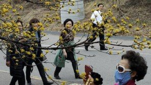 [주말날씨]낮 최고 기온 19℃ ‘포근’…미세먼지 ‘나쁨’