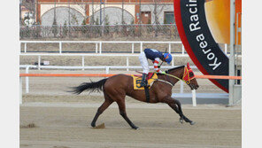 대상경주 여왕 ‘실버울프’, 스포츠동아배 품다