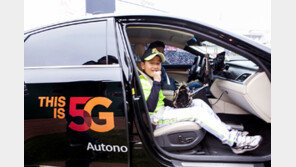 콘텐츠·제품 홍보까지…IT는 야구를 좋아해