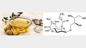 [2018 TREND WATCH]미생물 이용해 만든 자연친화적 발효오일…화장품 원료에 세계가 주목