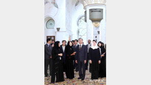 韓-UAE, 특별 전략적 동반자 관계로… ‘특사 논란’ 해소 