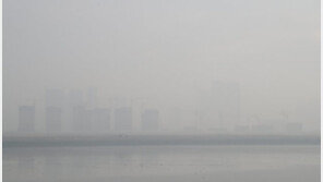 전문가 “일반 마스크, 미세먼지 전혀 못걸러…미세먼지 원인? ‘중국발 스모그’”