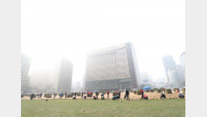 [청계천 옆 사진관] 서울광장 잔디심기 중단한 이유는?