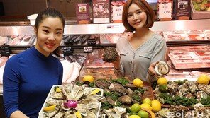 “제철 모르는 ‘3배체 굴-벚굴’ 맛보세요”