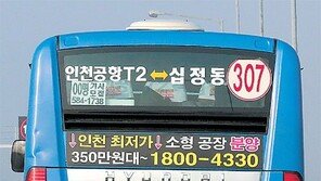 [고양이 눈]어디로 가나요?