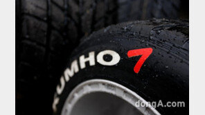 中더블스타 “형제가 마음 합치면 쇠도 자른다”… 굳건한 금호타이어 인수 의지