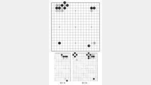 [바둑]알파고 vs 알파고 특선보… 화점엔 삼삼 침입이 최선