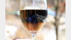 강원도 야생칡으로 성공한 귀농 창업인 화제