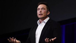 현대판 봉이 김선달? 괴짜 CEO 엘론 머스크 “벽돌 팝니다”