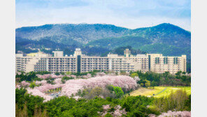 꽃구경 온천 숙박을 한번에… 한화리조트 ‘꽃길따라 떠나 봄’