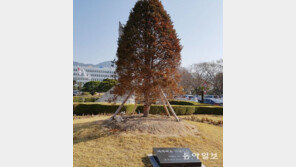 경남도청 ‘홍준표 주목’ 시들시들