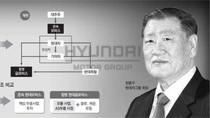 지주사 설립 예상깨고 모비스 지분 4조 매입… MK의 ‘결단’