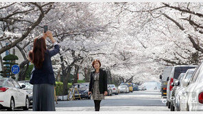 벚꽃터널 속에서 찰칵