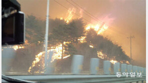 고성 산불 40ha 잿더미… 강풍 타고 번져 어선도 해상 대피