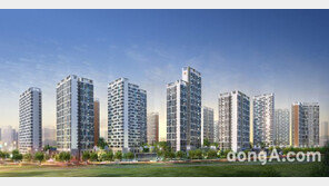 조성 초기 ‘베이비 신도시’ 아파트 각광… 시세 차익 기대